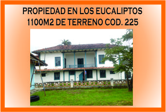 EUCALIPTOS TOTORACOCHA 225 MINI