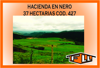 HACIENDA EN NERO 427 MINI