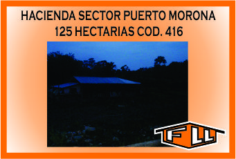 HACIENDA SECTOR PUERTO MORONA 416 MINI