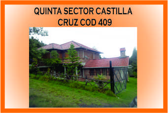 QUINTA CASTILLA CRUZ 409 MINI