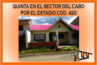 QUINTA SECTOR EL CABO 420 MINI