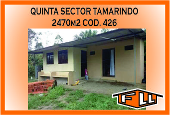 QUINTA SECTOR TAMARINTO 426 MINI