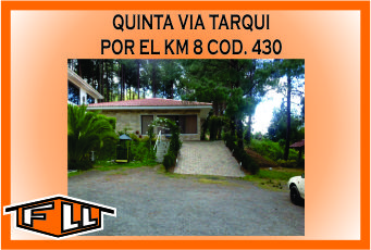 QUINTA VIA TARQUI 430 MINI