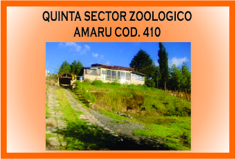 QUINTA ZOOLIGICO AMARU 410 MINI