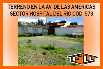 TERRENO AV. AMERICAS 573 MINI