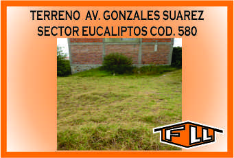 TERRENO AV. GONZALES SAUREZ 580 MINI