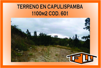 TERRENO CAPULISPAMBA 601 MINI