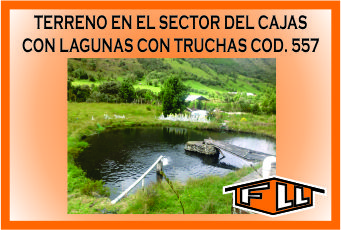 TERRENO EL CAJAS 557 MINI