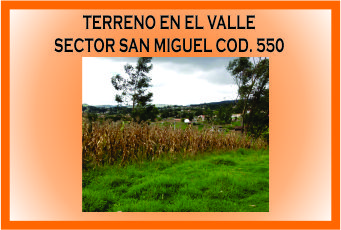 TERRENO EL VALLE SAN MIGUEL 550 MINI