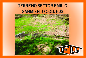 TERRENO EMILIO SARMIENTO 603 MINI