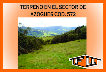 TERRENO EN AZOGUES 572 MINI