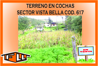 TERRENO EN COCHAS 617 MINI