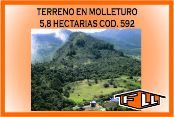 TERRENO EN MOLLETURO 592 MINI