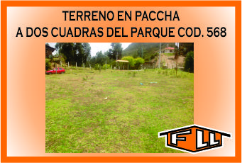 TERRENO EN PACCHA 568 MINI