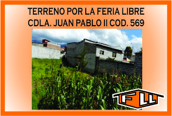 TERRENO FERIA LIBRE JUAN PABLO II 569 MINI