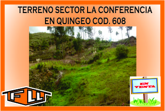 TERRENO LA CONFERENCIA 608 MINI