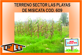 TERRENO LAS PLAYAS DE MISICATA 609 MINI