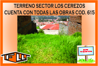 TERRENO LOS CEREZOS 615 MINI