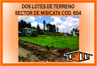 TERRENO MISICATA 604 MINI