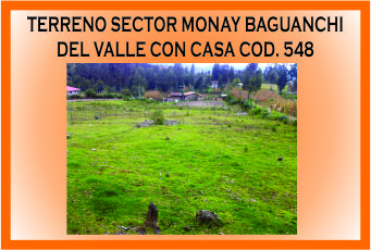 TERRENO MONAY BAGUANCHI EL VALLE MINI 548
