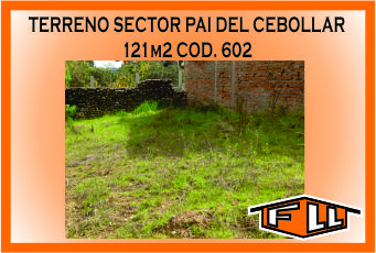 TERRENO PAI DEL CEBOLLAR 602 MINI