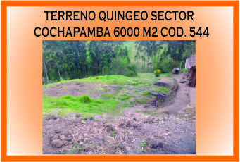 TERRENO QUINGEO 186 MINI