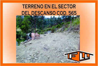 TERRENO SECTOR DESCANSO 565 MINI