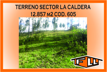 TERRENO SECTOR LA CALDERA 605 MINI