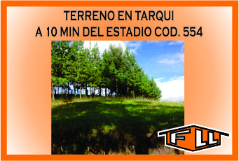 TERRENO TARQUI 554 MINI