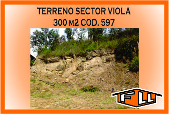 TERRENO VIOLA 597 MINI