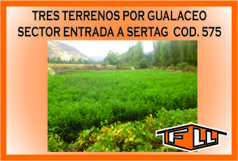 TERRENOS X GUALACEO SERTAG 575 MINI