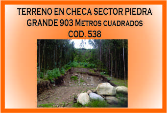 Terreno Checa Piedra Grande Mini